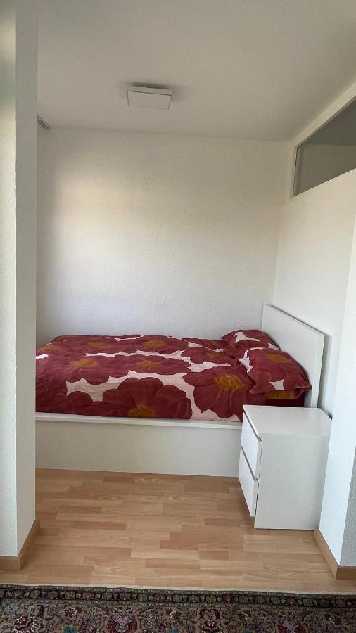 1,5 Zimmerwohnung In ไฮเดลเบิร์ก ภายนอก รูปภาพ
